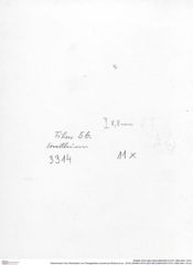 Historisches Foto (Rückseite) von Paragalathea crenarvina (Robins et al., 2016) (NHMW-AFW-GEO-BACHMAYER-FOTO-1990-0041-3314)